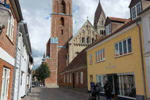 Salon Tigo – Ribe