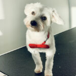 AF1QipMgjd6NSy5RpvWM6edeU1PVsqWRKxUhX227cB aw408 h544 k no