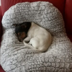 AF1QipMpl6mIzxTd2zRukEjHIaE9XfS WwbmClpQq9Vuw408 h544 k no