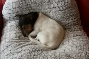 CD Klip – Taastrup