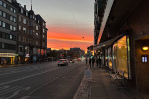 Stylish Salon – København