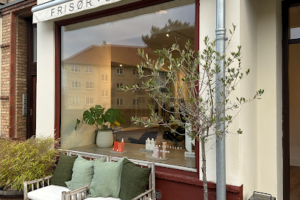 STUDIO V. Emilie C hair – Virum