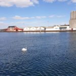 AF1QipN5woxsKaeF7PoEbxWuHaPRYbjkGT9gxMMpoI0lw408 h544 k no