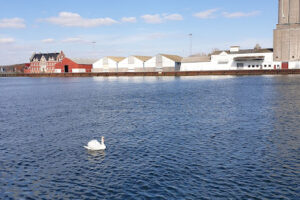 Frisør Hos Peter Korsør – Korsør