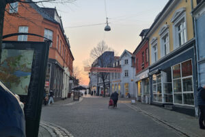 Hairmind (Vang Thi Le) – Kolding