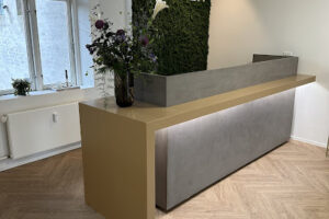 SKIN SOCIETY – Viborg