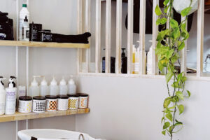 Salon North – København