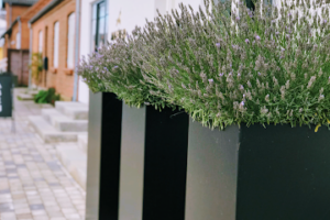 Klippoteket – Tørring