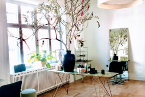 D&D-art Of Hair – Odense