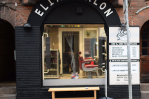 Elias Salon v. Amjad Hamid – Aarhus