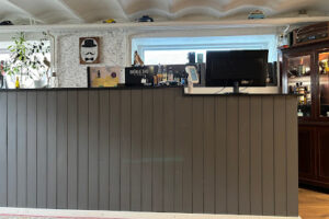 The DASHTIS – Horsens