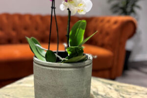 Hair Factory – Ringsted