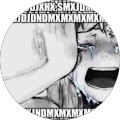 IDIOT SANDWAICH