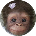 aiman sariou