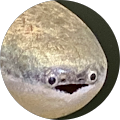 Meh
