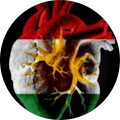 Ali Kurdo