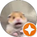 TTV Metr0nic