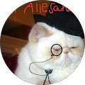 Mr Allesandro Rochi