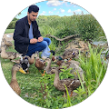 Saifoor Ahmadzai