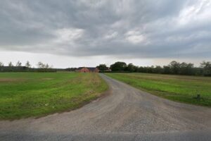 SalonSignatur – Viborg